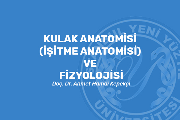 Kulak Anatomisi (İşitme Anatomisi) ve Fizyolojisi