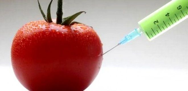 Sağlığımızla Oynuyorlar Sağlığımızla Oynuyorlar