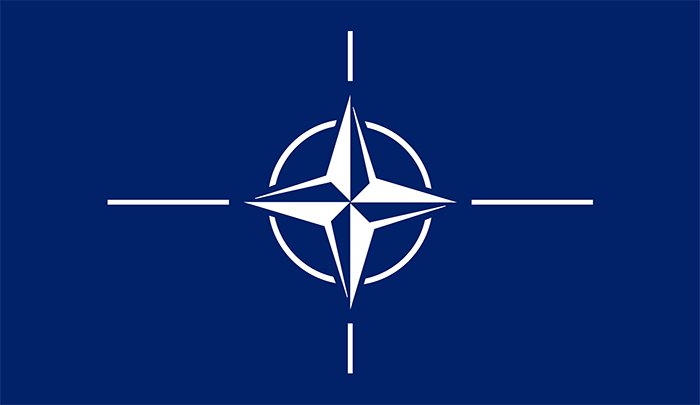 NATO’nun beyin ölümü gerçekleşti mi? NATO’nun beyin ölümü gerçekleşti mi?